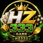 HZ333 Game