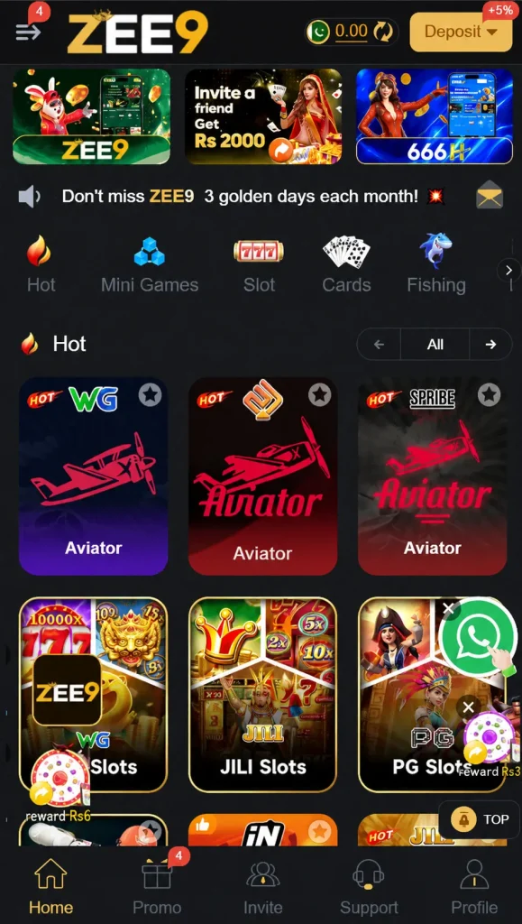 zee9 Game
